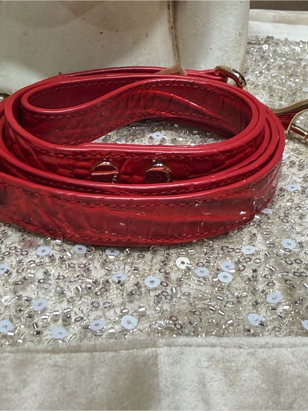 Brahmin red  carnation dog leash